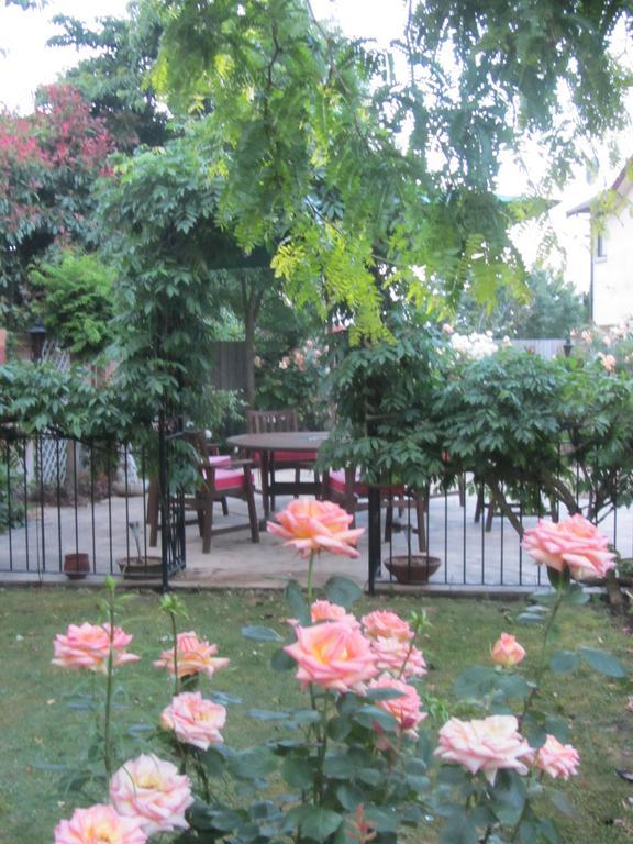 Airport Stableford B&B Christchurch Zewnętrze zdjęcie
